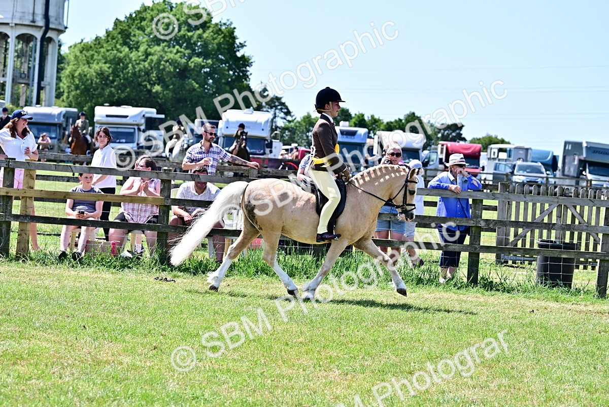 SBM_15441 - Class 95-97 - BSPS LHS Performance Ponies