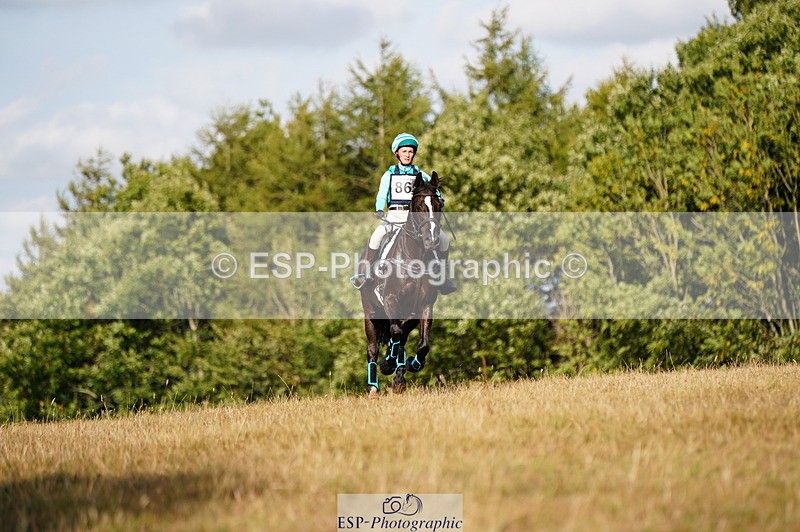 250803A-175946-18863 - S-869-Alice.Lamming-THE.DARK.HORSE.I