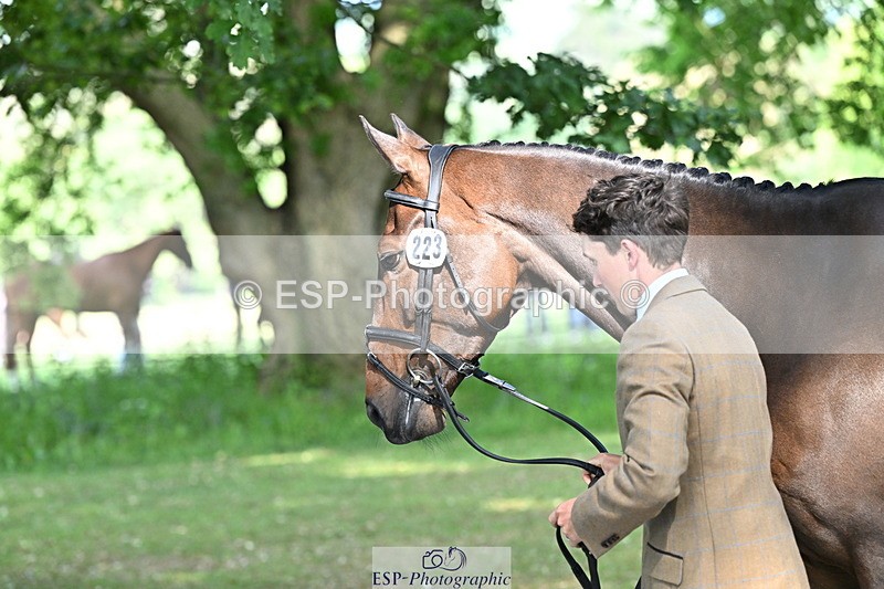 250521A-162648-01150 - C-223-Tom.McEwen-BROOKFIELD.DANNY.DE.MUZE