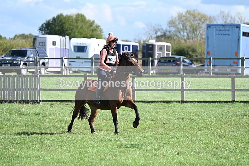 WJ7_1343 - Time 13:56 to 14:24