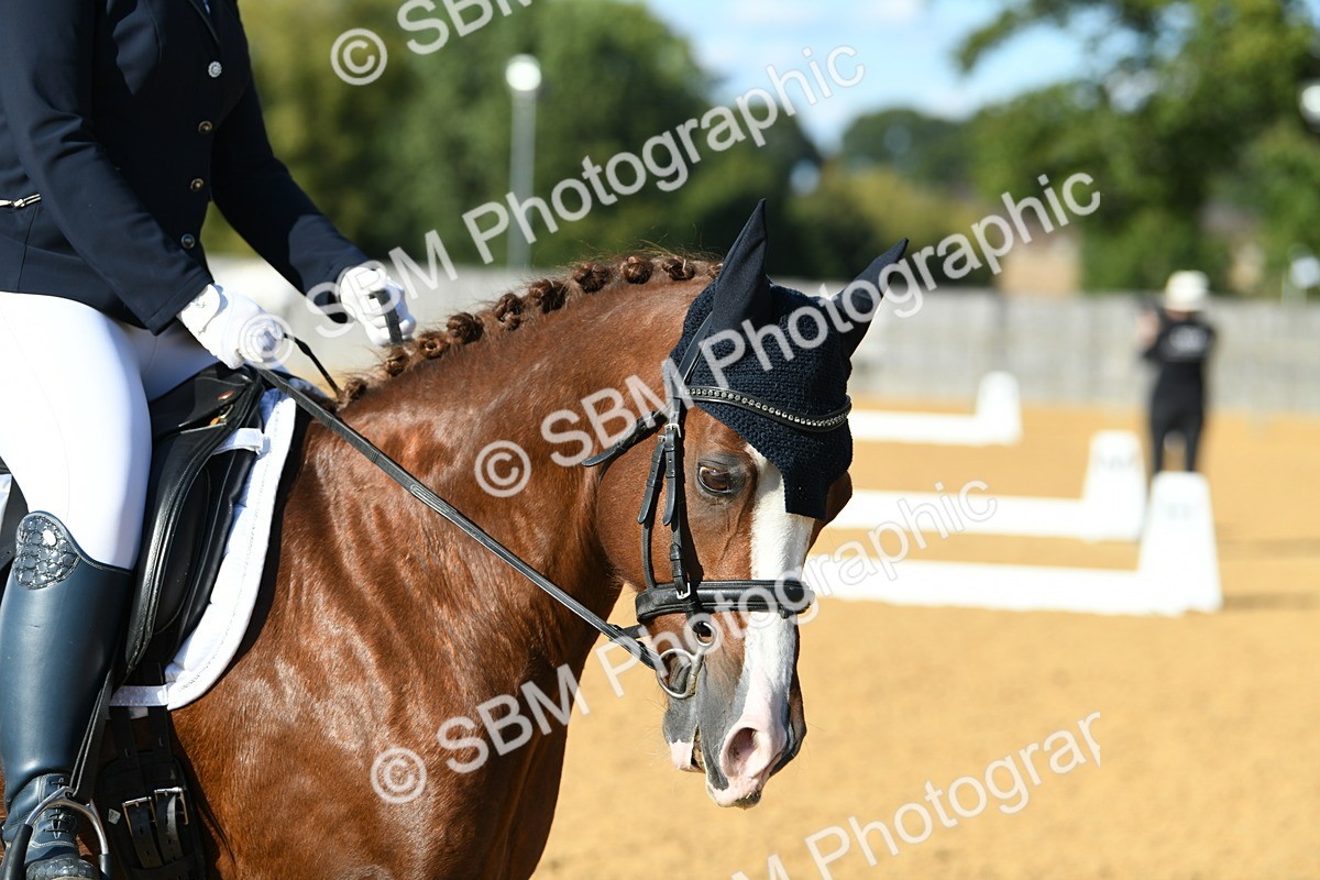 SBM_27232 - D16 - Small Tour Championship - Novice 28