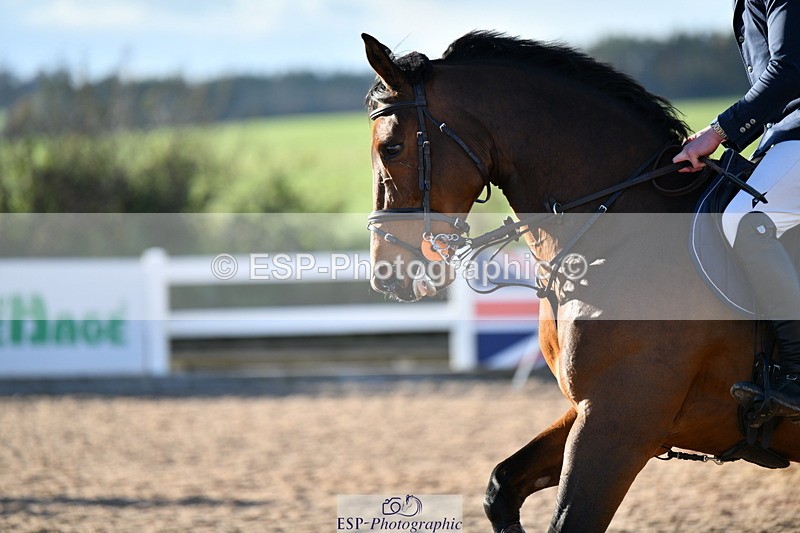 231110A-151724-00991 - Cls 6 Foxhunter & 1.20m Open