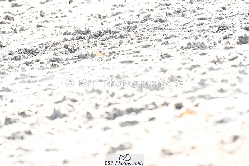 231110-123244-00718 - Cls 3 Novice 22