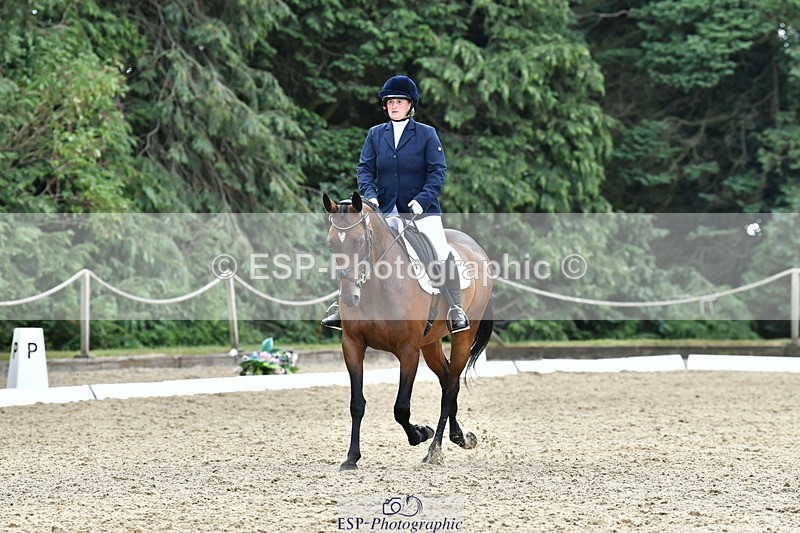 260801A-113853-03626 - Prelim Bronze Break - End
