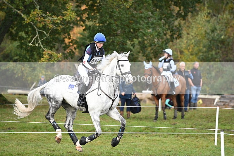 WJ6_1950 - 80cm Cam 1 Time 10:08 to 10:45