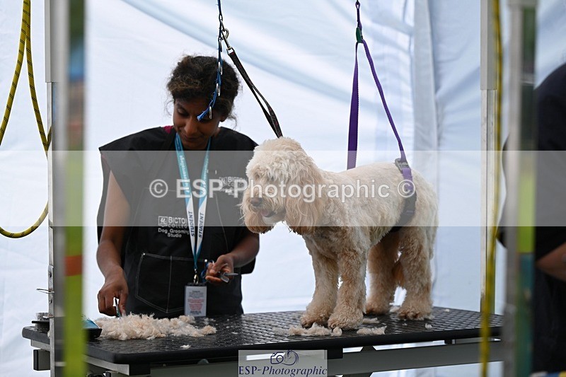 240525-114634-12607 - Candid and Saturday Hobby Horse