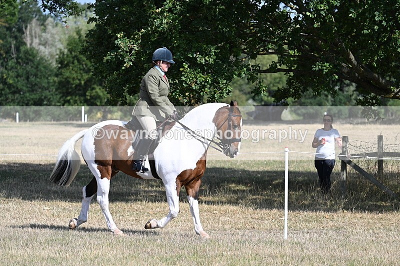 WJ7_2785 - Class 8 Ridden Tack & Turnout