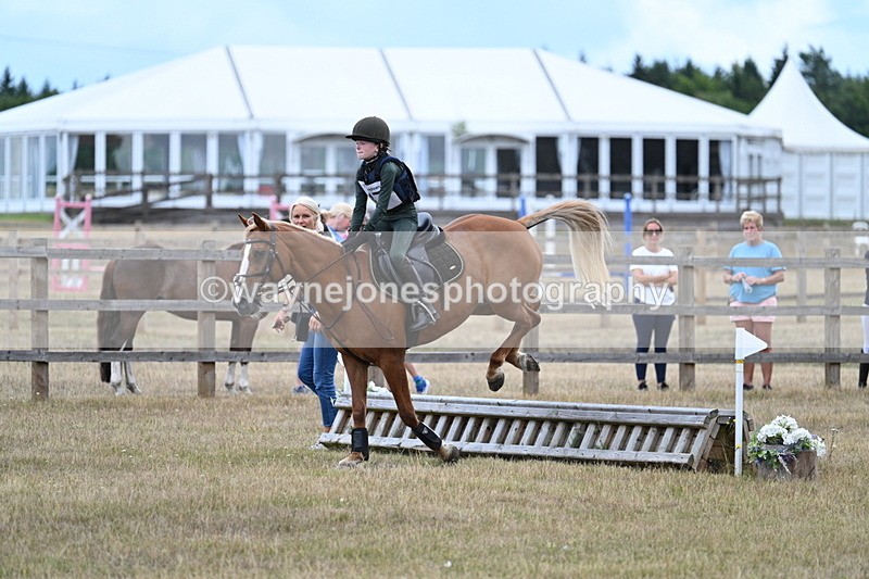 WJ7_1667 - 60cm Time 13:20 to 14:27