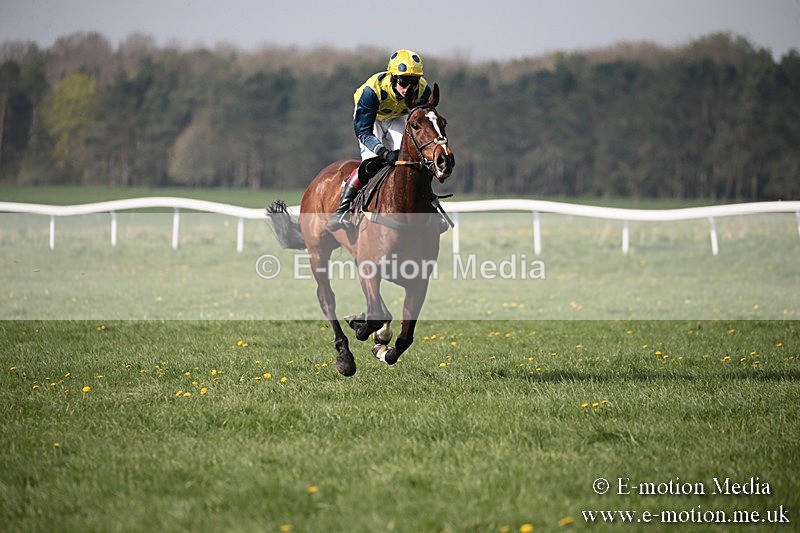 PtP 210418 439 - South & West Wilts Point-to-Point Larkhill 21/04/18