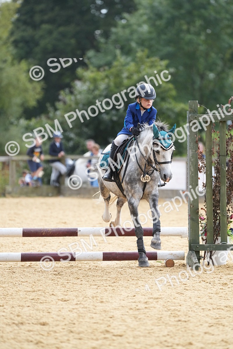 SBM_74703 - J4 - Mini Tour Junior Pony 45cm Championship