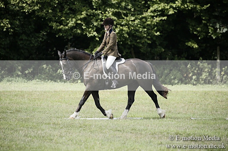 BVR090918 283 - BVRC Dressage and Show Jumping 09/09/18