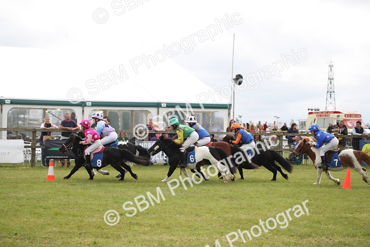 SBM_09986 - Dinky Derby