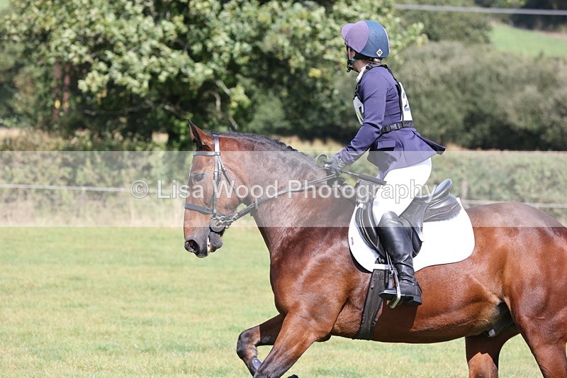 JPP_8692 - Class 2: Trekenning: 80cm Showjumping