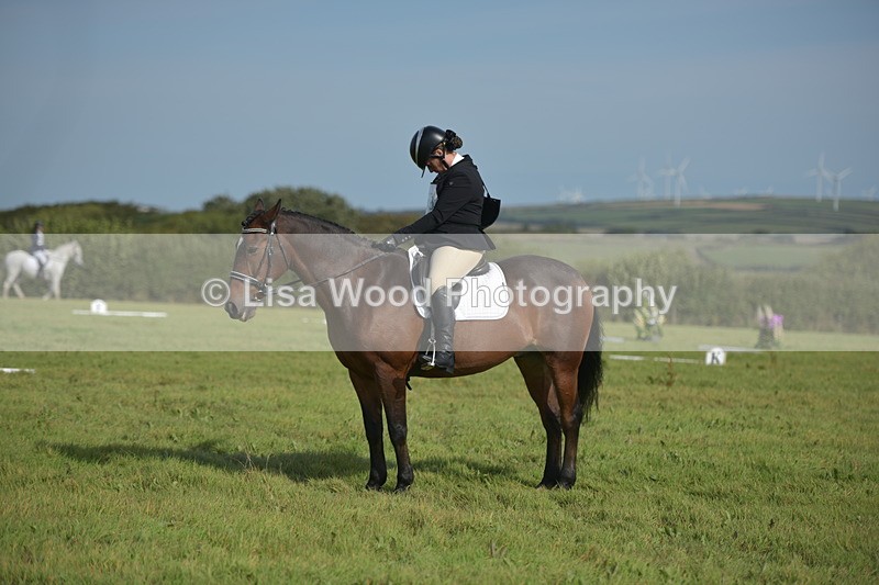 RAY_7767 - Class 2B: Trekenning Open: Dressage