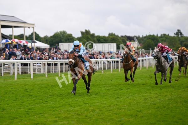 150624-Race 5-The Strikin Viking-7646 - Race 5 4.10pm Reg Griffin Appreciation ebfstallions.com Maiden Stakes