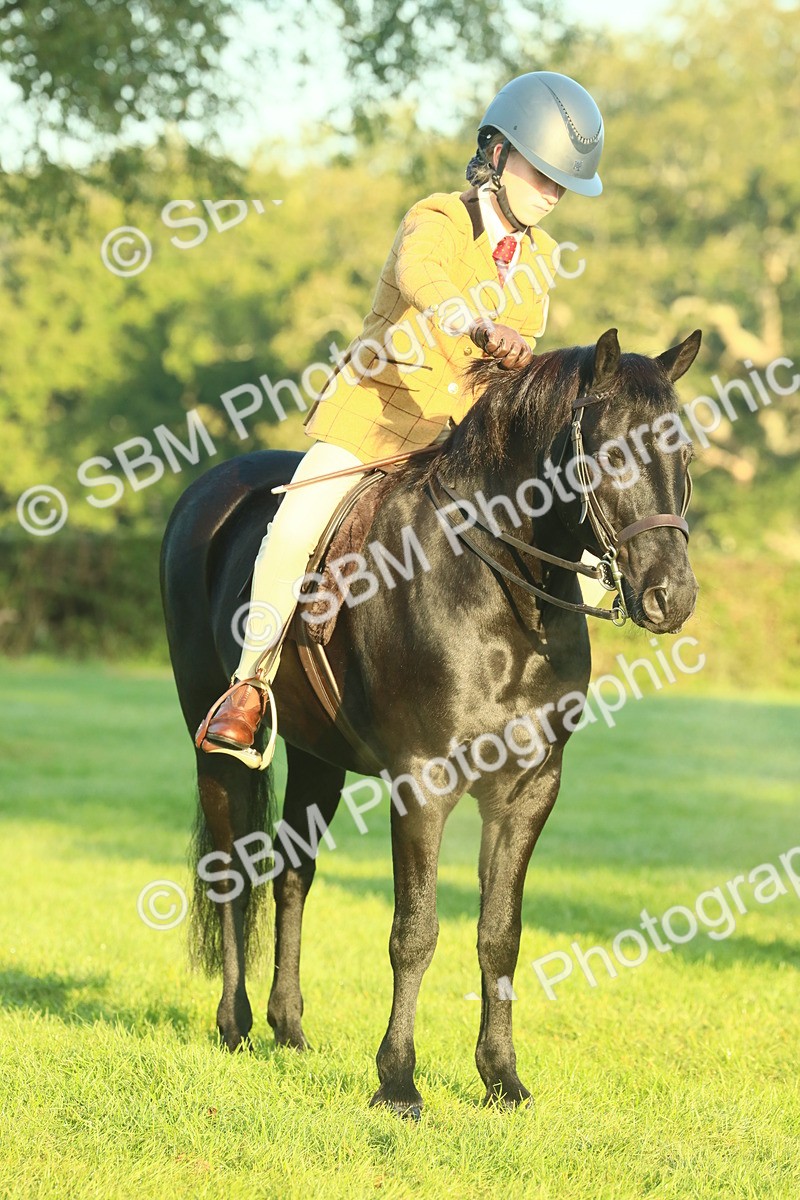 SBM_56631 - S36 - Starters Best Turnout