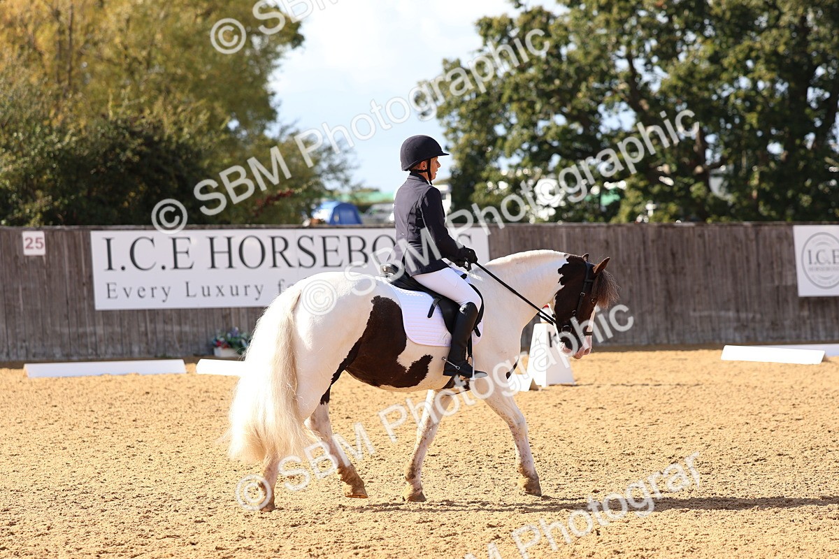 SBM_50453 - D12 - Small Tour Championship prelim 2