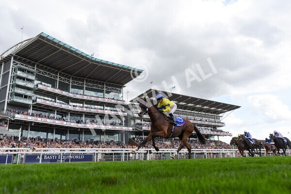 yr20082022r2-35 - Race 2 2.35pm Sky Bet Melrose Stakes