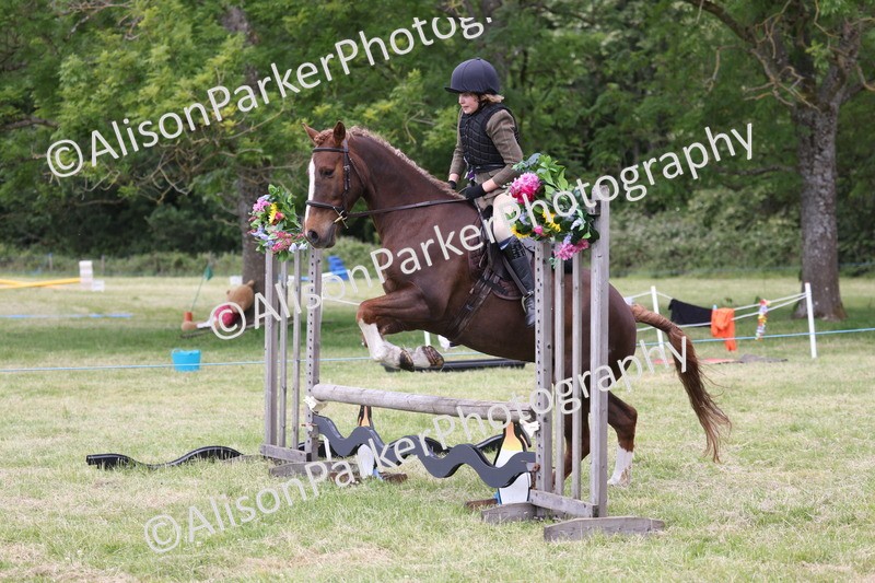 20260614-2741 - Class 22 - Open Working Hunter