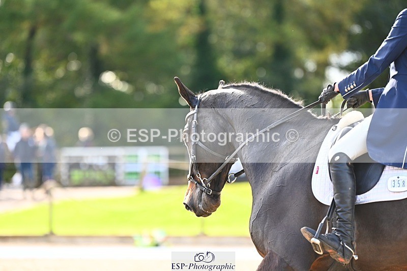 231021-143157-17861 - 358-ROYALE.MESSENGER-Anna.Singer-DR