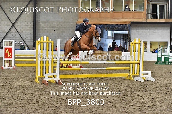 BPP_3800 - FRI CLASS 21 BR NOVICE/90CM