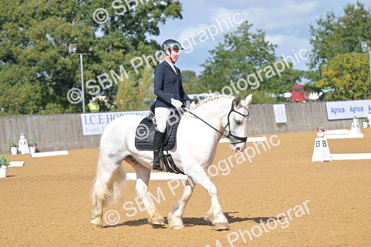 SBM_07988 - D8 - Small Tour Championship Prelim 1