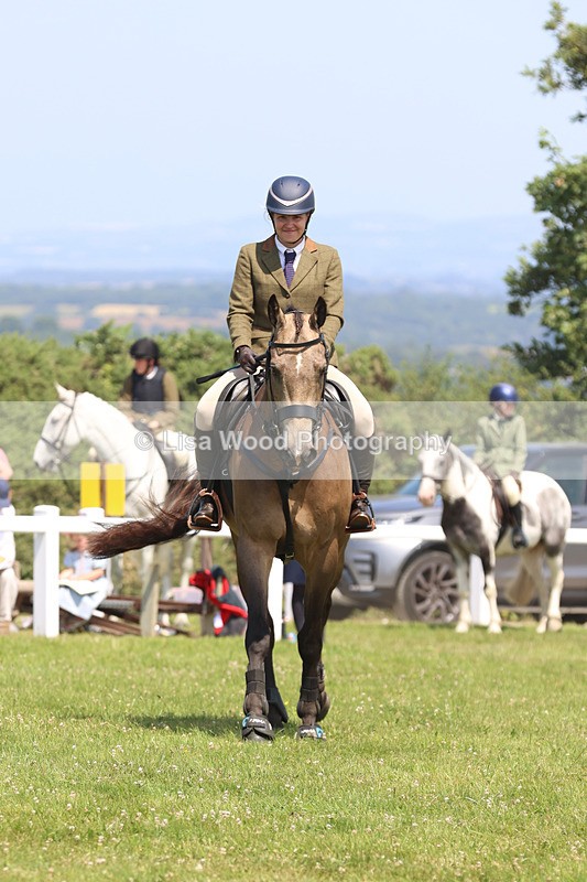 JPP_3108 - Class 22: Working Hunter 70cm