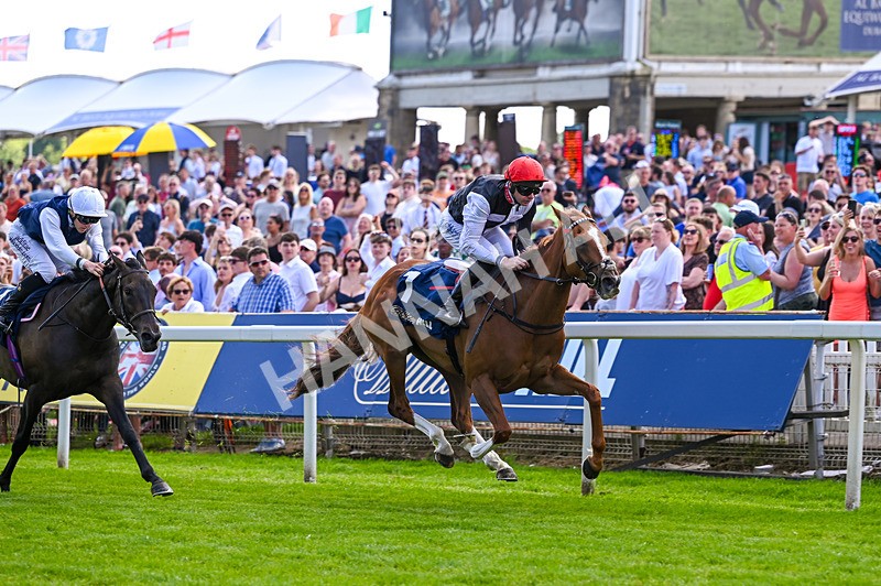 230526-Race 4-Danielle-7008 - Race 4 15.15pm William Hill Bronte Cup Fillies' Stakes