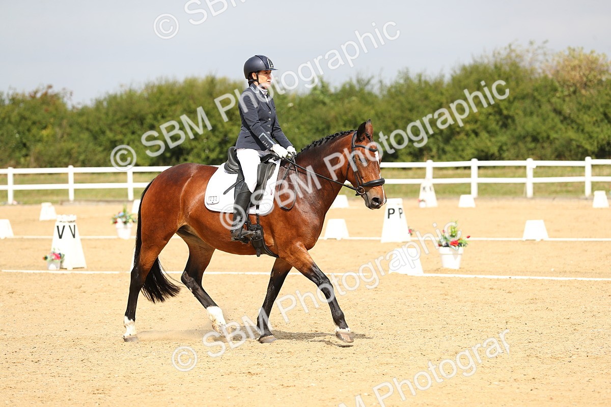 SBM_016465 - Class 13 - Novice 23 - 11.25-12.35