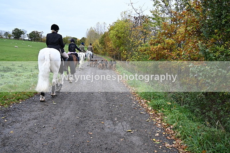 WJ6_9248 - Ride