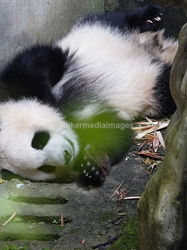 CHINA__0089 - China 2019