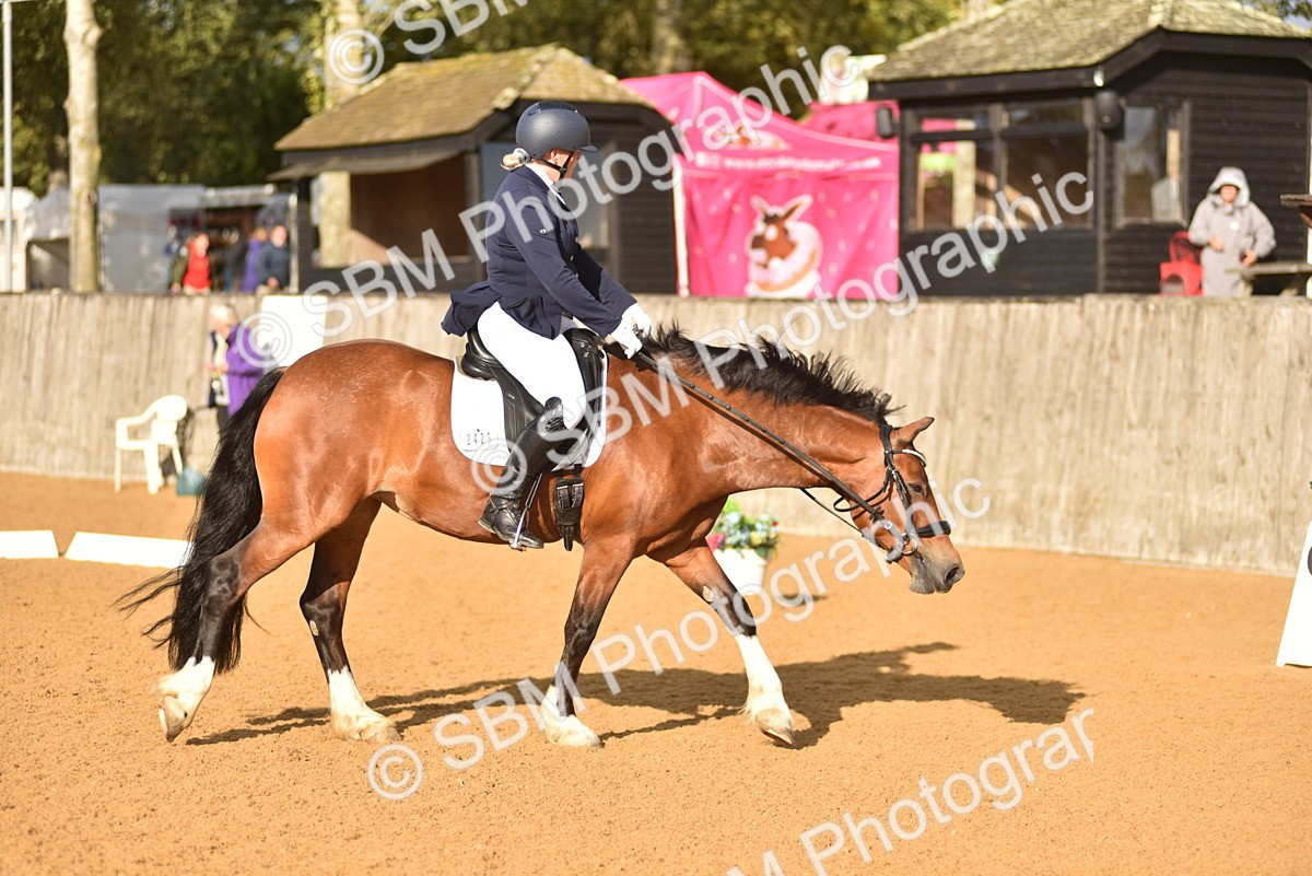 SBM_29669 - D16 -Small Tour Championship Novice 2