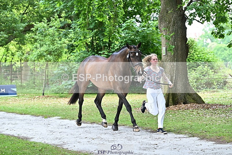 250521A-143455-00096 - A-008-Ada.Marson-IZZIETOP