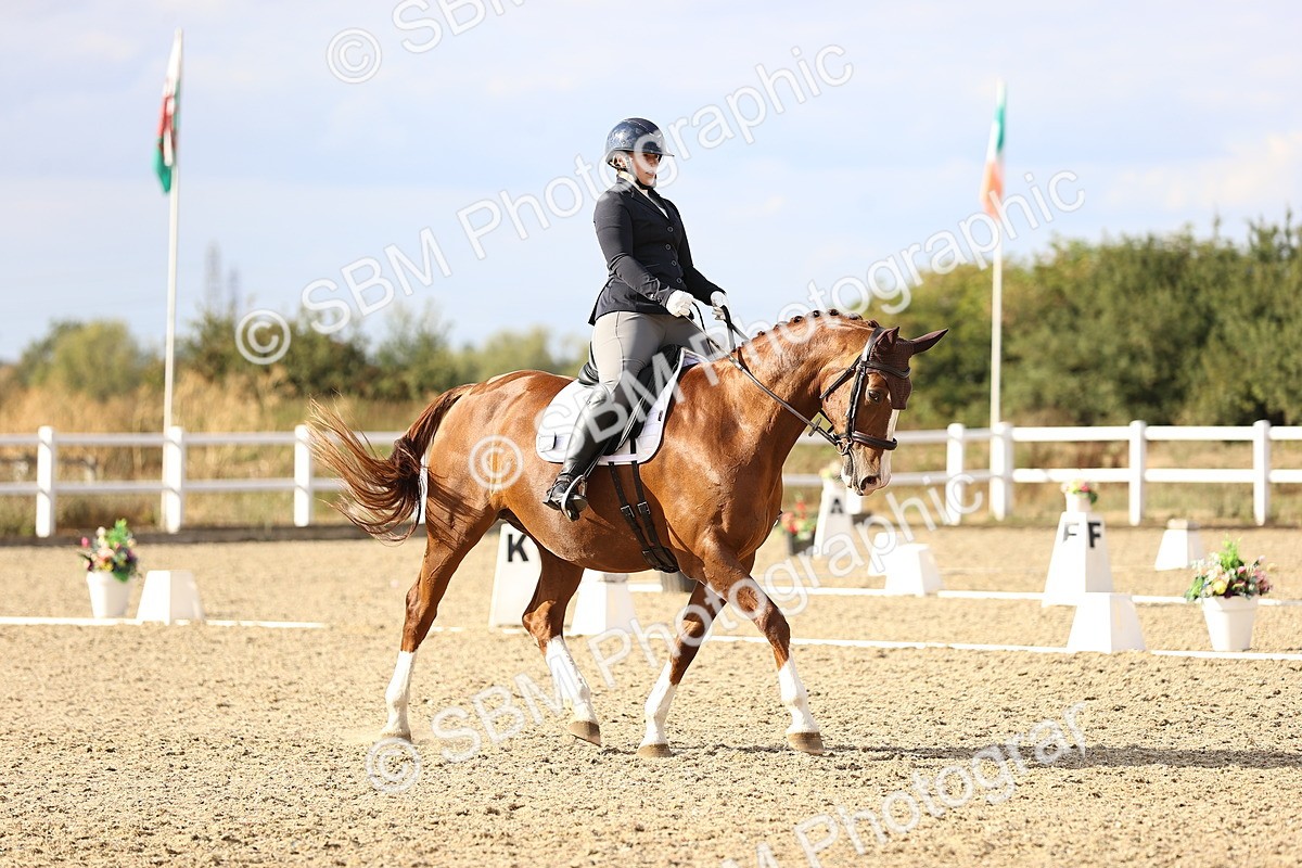 SBM_016033 - Class 5 - E5 Bronze  16.18.17.22