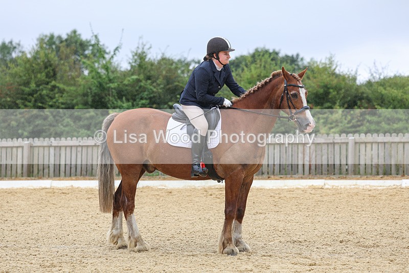 3E7A4773 - Class 1: Intro 4 2024 section A