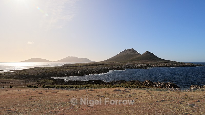 Morning view towards Grand Jason from Steeple Jason, Falklands - Falkland Islands