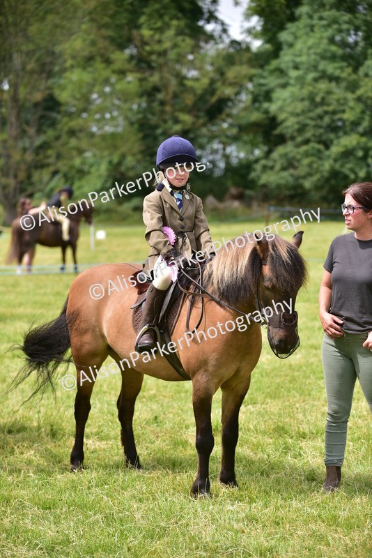 20260614-4036 - Class 16 - Handsome Gelding