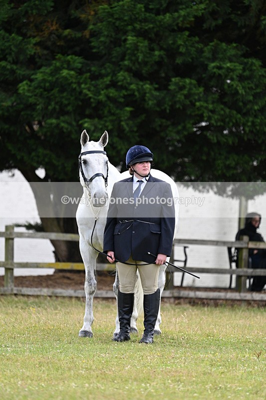 WJ7_7104 - Class 5a Most Handsome Gelding in Hand