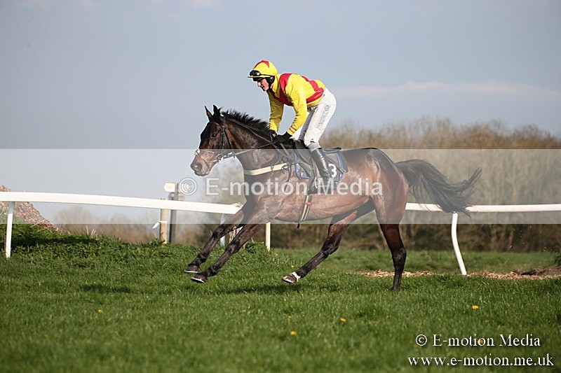 PtP 210418 549 - South & West Wilts Point-to-Point Larkhill 21/04/18