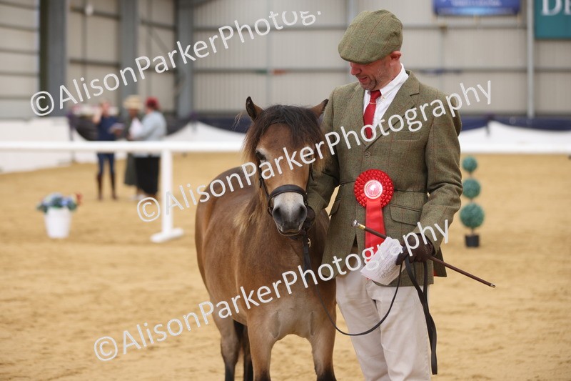 20260913-1298 - Class 113 - Yearling