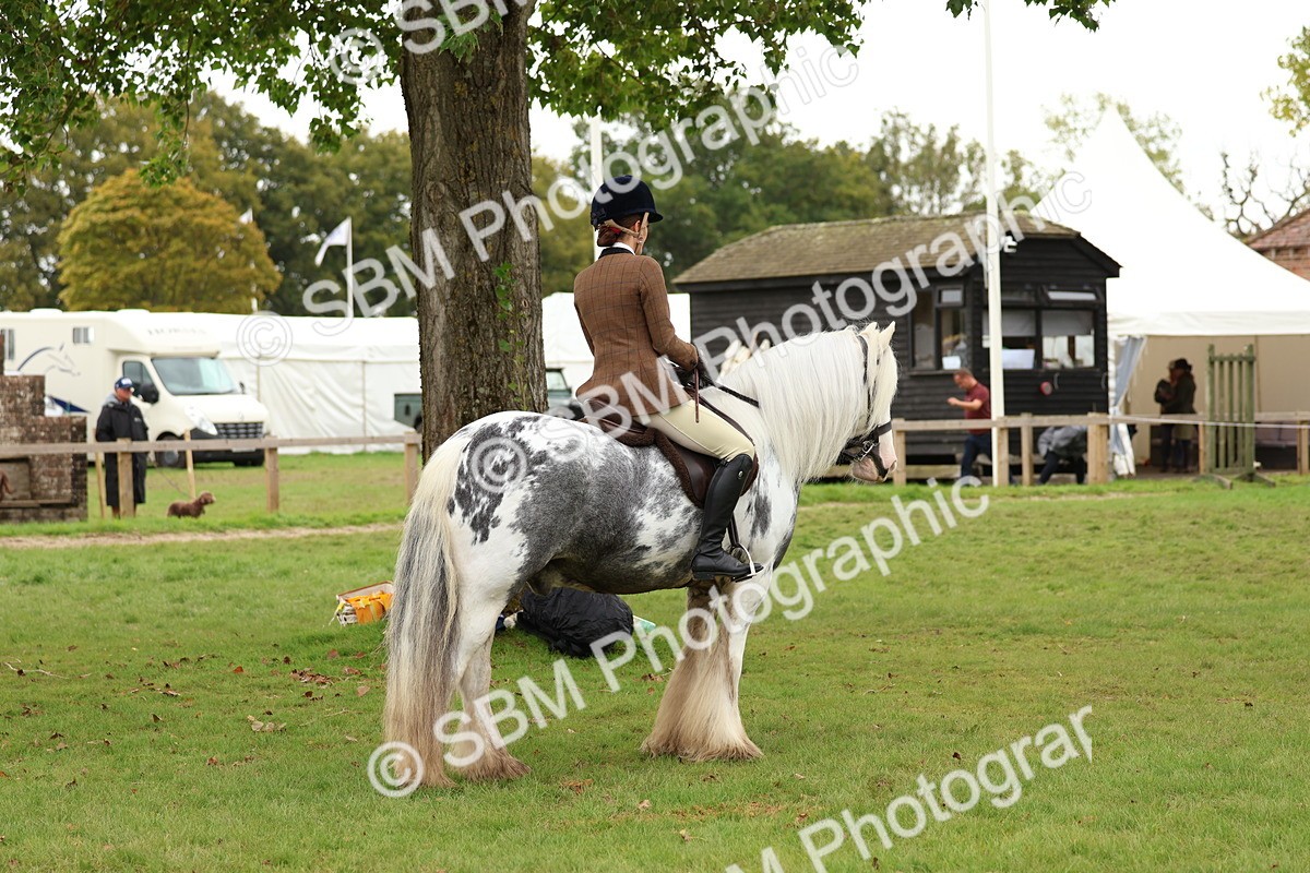 SBM_64484 - S58 - Coloured Pony Ridden