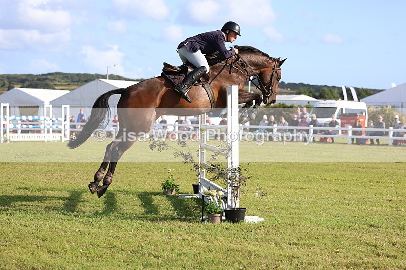 3E7A4430 - Class C: Showjumping Senior Foxhunter