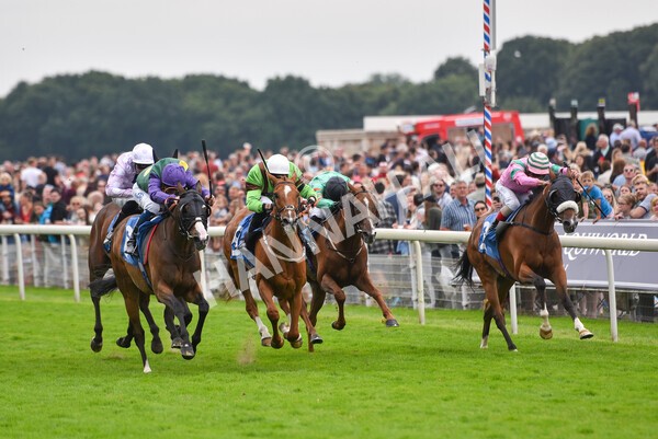 yr24072021r5-57 - Race 5 4.25pm Sky Bet Best Odds Guaranteed Stakes