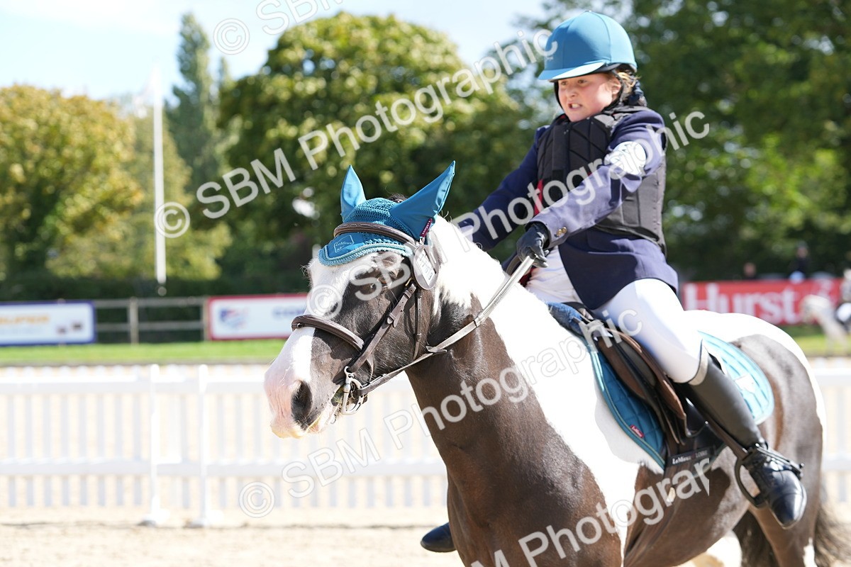 SBM_18207 - J58 - Clear Round 50cm