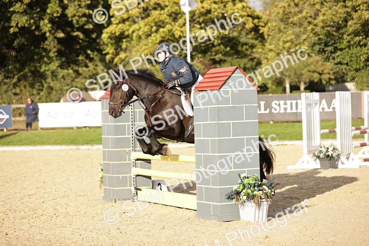 SBM_29953 - j52 - Open 80cm