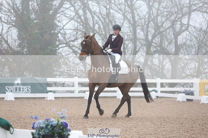 240217A-094435-00826 - 114-kelly.jewell-Juno.Watt