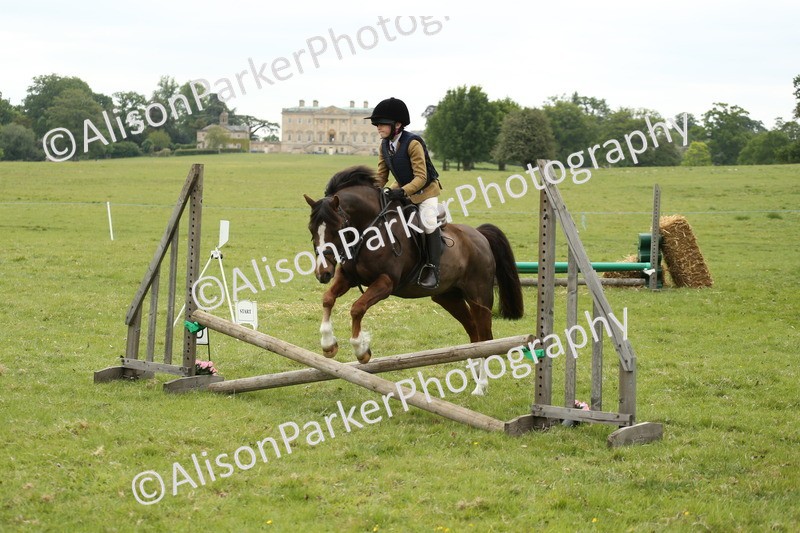 20250517-1142 - Class 21 - Novice Working Hunter