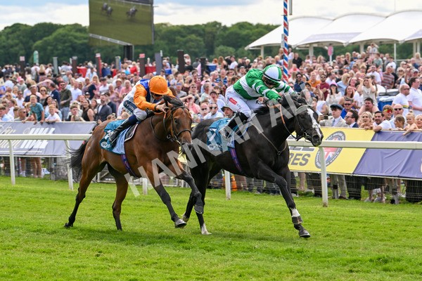 310525-Race 2-Tadej-8950 - Race 2 2.05pm Irish Thoroughbred Marketing EBF Restricted Novice Stakes