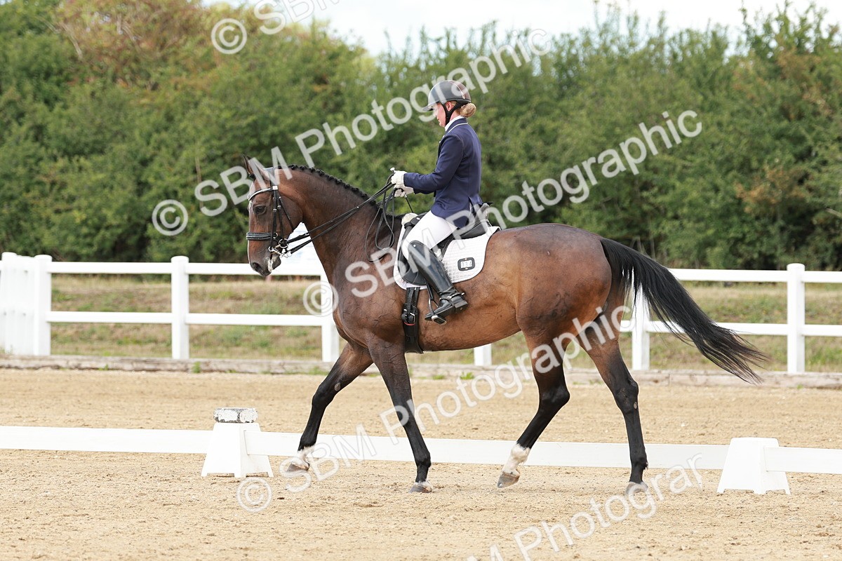 SBM_002415 - Class 11 - Medium 6