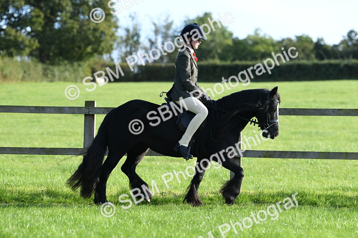SBM_53990 - S23 - 1st Ridden Mountain & Moorland Pony